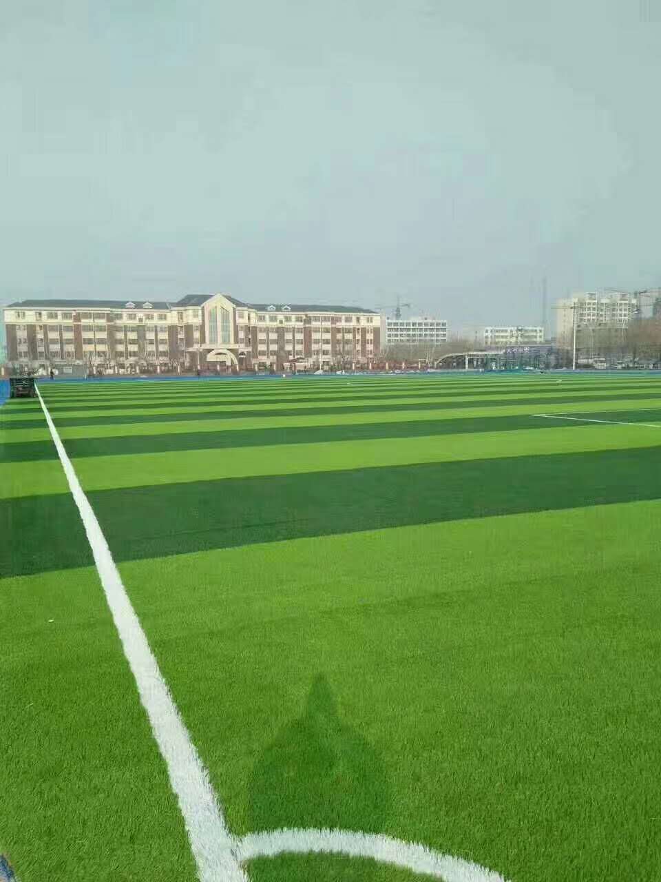 汉中市新国标塑胶跑道仿真草坪 - 厂家